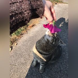 Meet your Posher, Lydia